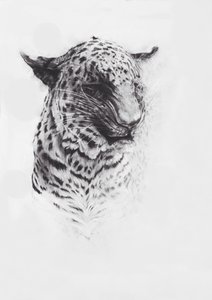 Leopard 2