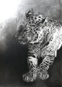 Panthera pardus 2 by Odile Kidd