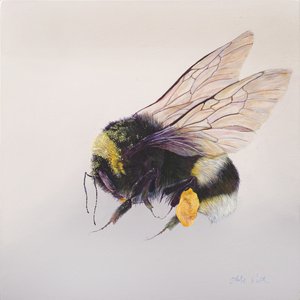 Pollen Sac 2, 2011 by Odile Kidd