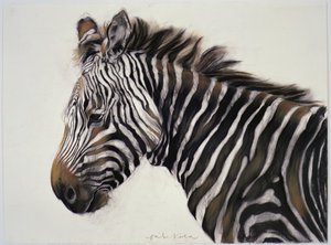 Zebra by Odile Kidd