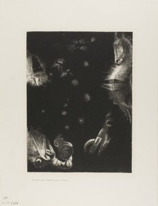 Different Peoples Inhabit the Countries of the Ocean, plate 23 of 24 by Odilon Redon