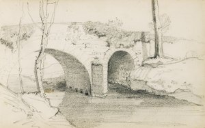 Drawing from an Album Titled 