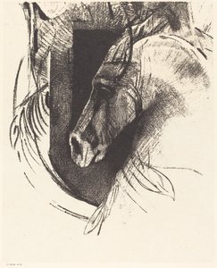 The Race Horse