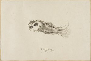 Menu of a Dinner for French Lithographers, April 1, 1887 by Odilon Redon