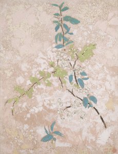 Pear Blossoms