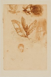 Sketches