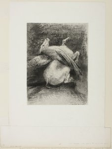 The Impotent Wing Did Not Lift the Animal Into That Black Space, plate 7 of 8 from Les Origines by Odilon Redon