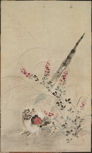 Pheasant and Grasses