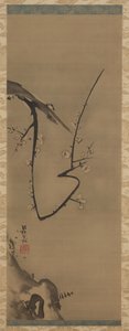 Prunus, hanging scroll, c.1700 by Ogata Korin