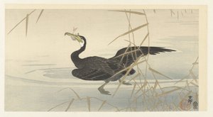 Cormorant with Fish by Ohara Koson