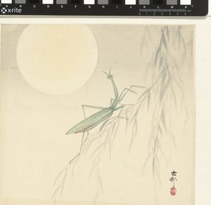 Praying Mantis by Ohara Koson