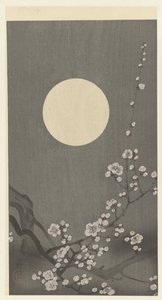 Blooming Plum Blossom in Full Moon by Ohara Koson
