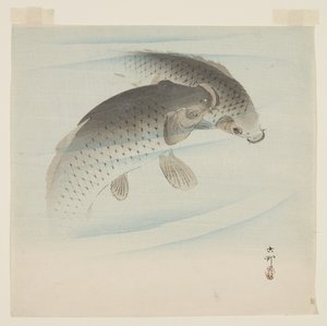 Carp by Ohara Koson