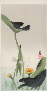 Dragonfly and Lotus