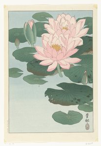 Flowering Water Lily by Ohara Koson