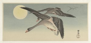 Geese by Full Moon