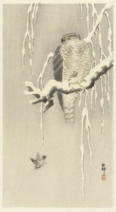 Hawk with Captured Sparrow