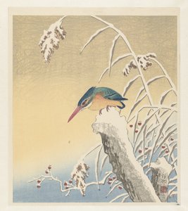 Kingfisher in the Snow by Ohara Koson