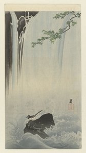 Japanese Wagtail by Waterfall by Ohara Koson