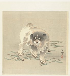 Young Dog by Ohara Koson