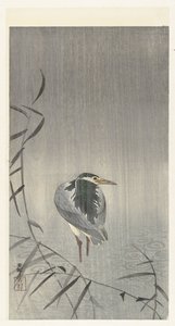 Heron in Rain