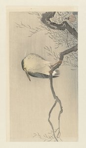 Heron on a Twisted Branch