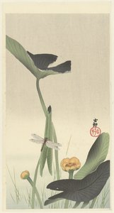 Dragonfly and Lotus