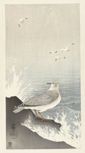 Seagull on Rock by Ohara Koson