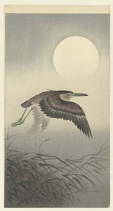 Heron in Full Moon