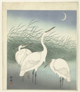 Herons in Shallow Water by Ohara Koson