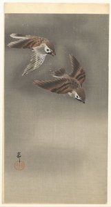 Sparrows in Snow