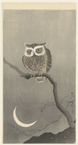 Scops owl on a branch with crescent moon by Ohara Koson