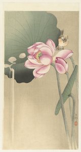 Songbird and Lotus by Ohara Koson