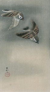Sparrows in flight