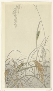 Grasshoppers on Rice Plants by Ohara Koson