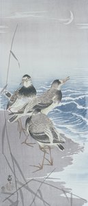 Three Sandpipers at the Waterside in Front of Reeds by Ohara Koson