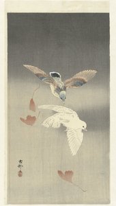 Two Doves with Falling Ginkgo Leaves