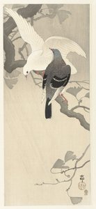 Two Doves on a Branch by Ohara Koson