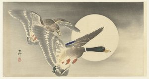 Two Ducks by Full Moon