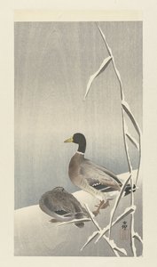 Two Ducks on Snowy Reed