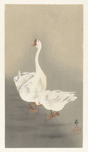 Two Geese by Ohara Koson