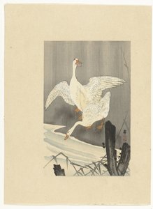 Two Geese by a River by Ohara Koson
