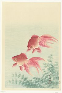 Two Veiltail Goldfish by Ohara Koson