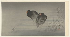 Two Moorhens by Ohara Koson