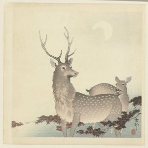 Two deer by Ohara Koson