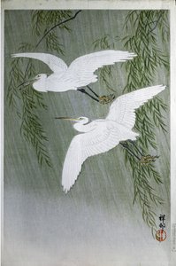 Two Herons Flying Free