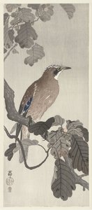 Flemish Jay on Tree Branch by Ohara Koson