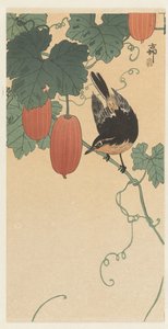 Bird and Persimmon