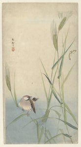 Bird and Butterfly