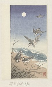 Birds by Full Moon by Ohara Koson